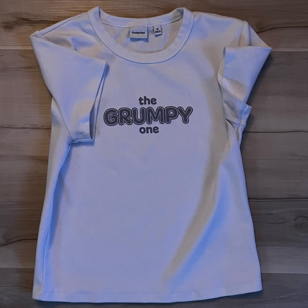 Aritzia Sundays Best little ribbed tee